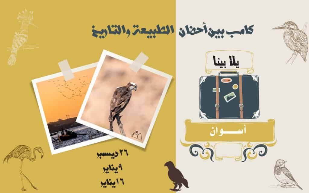 Aswan-Birding-Camp-01-1024×640.jpg