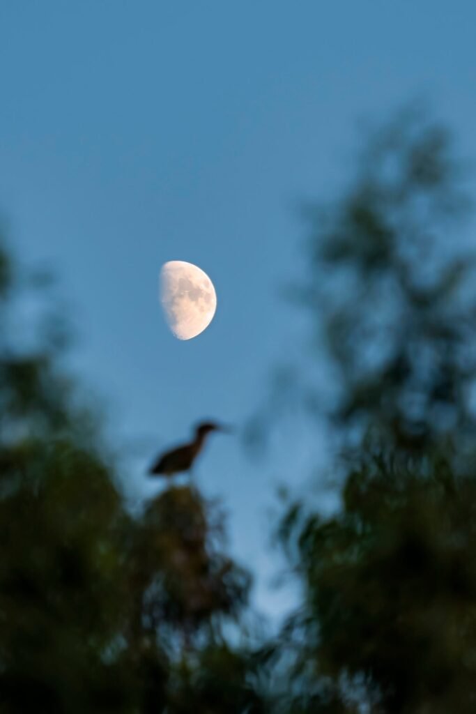 DSC_2218-scaled.jpg