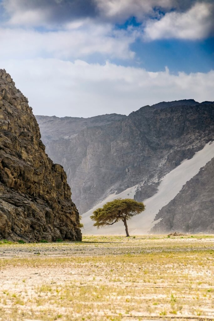 stock-photo-lonely-tree-in-amazing-nature-196283441-scaled.jpg